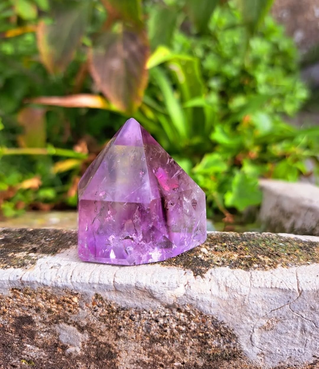 CRISTALLO MAESTRO DI AMEDISTA